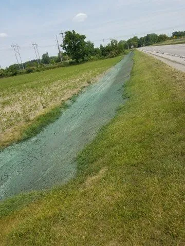 Sod, hydroseeding and straw seeding project by KBK Landscaping (photo 11)