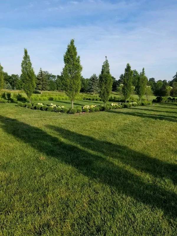 Commercial lawn care and landscaping project by KBK Landscaping (photo 7)