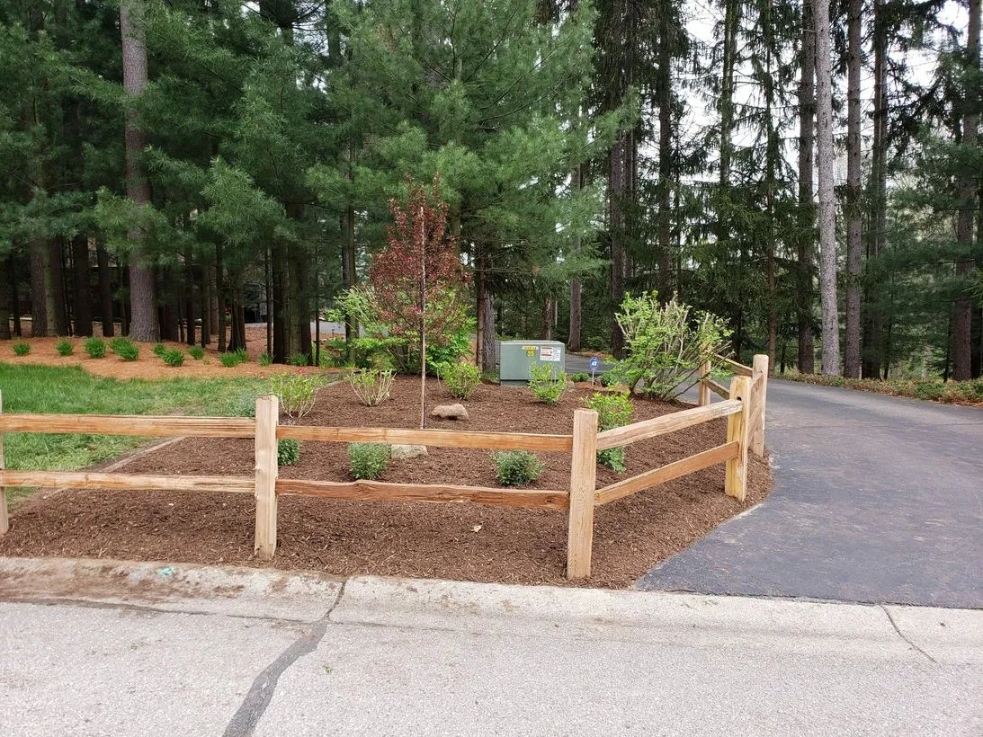 Newly planted tree with a split-rail fence and fresh mulch