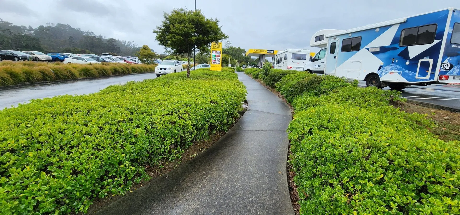 Manicured hedge-lined walkway on a well-maintained Canton commercial property