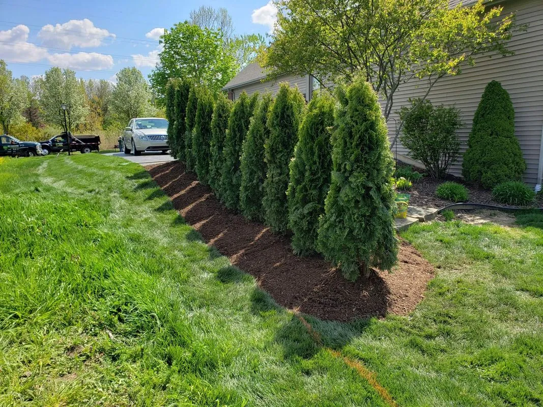 Commercial lawn care and landscaping project by KBK Landscaping (photo 11)