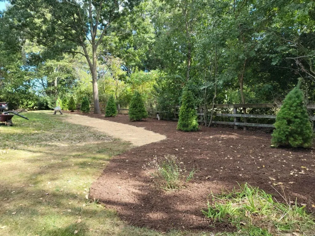 Commercial lawn care and landscaping project by KBK Landscaping (photo 2)