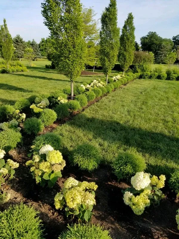Commercial lawn care and landscaping project by KBK Landscaping (photo 8)
