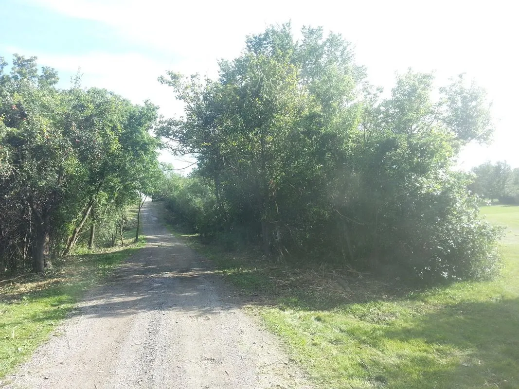 Specialty land services including clearing, grading and mowing by KBK Landscaping (photo 8)