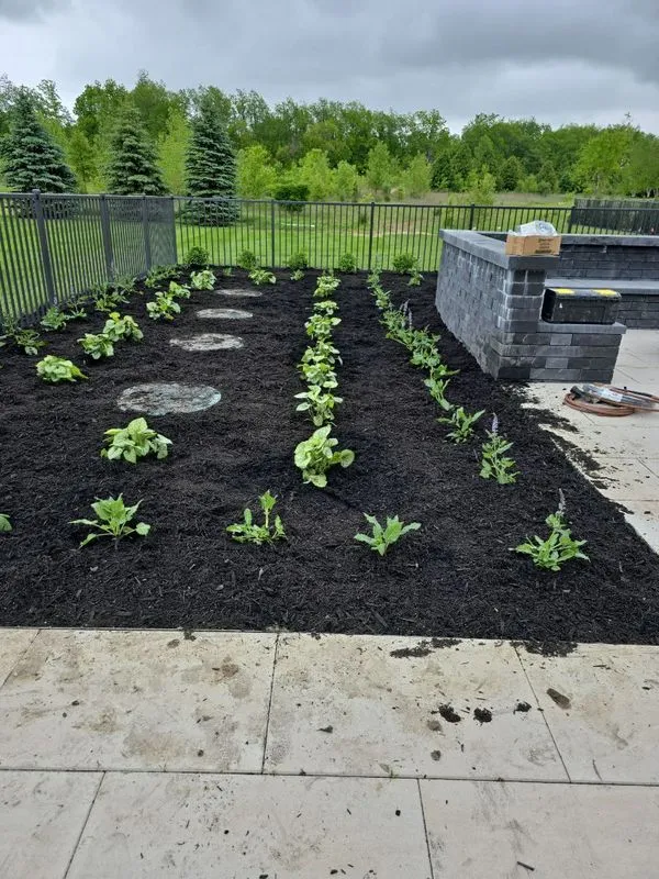 Commercial lawn care and landscaping project by KBK Landscaping (photo 17)