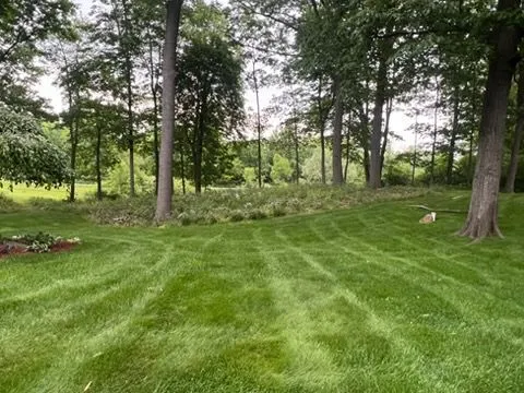 Commercial lawn care and landscaping project by KBK Landscaping (photo 26)