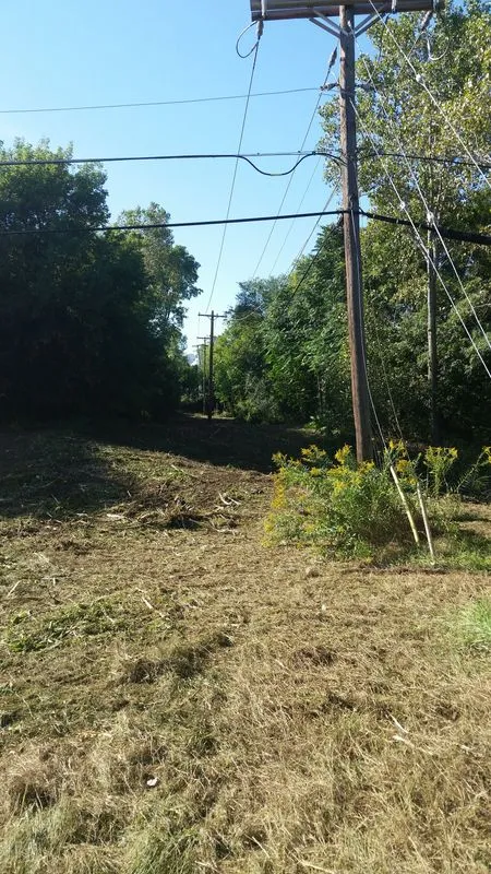 Specialty land services including clearing, grading and mowing by KBK Landscaping (photo 4)