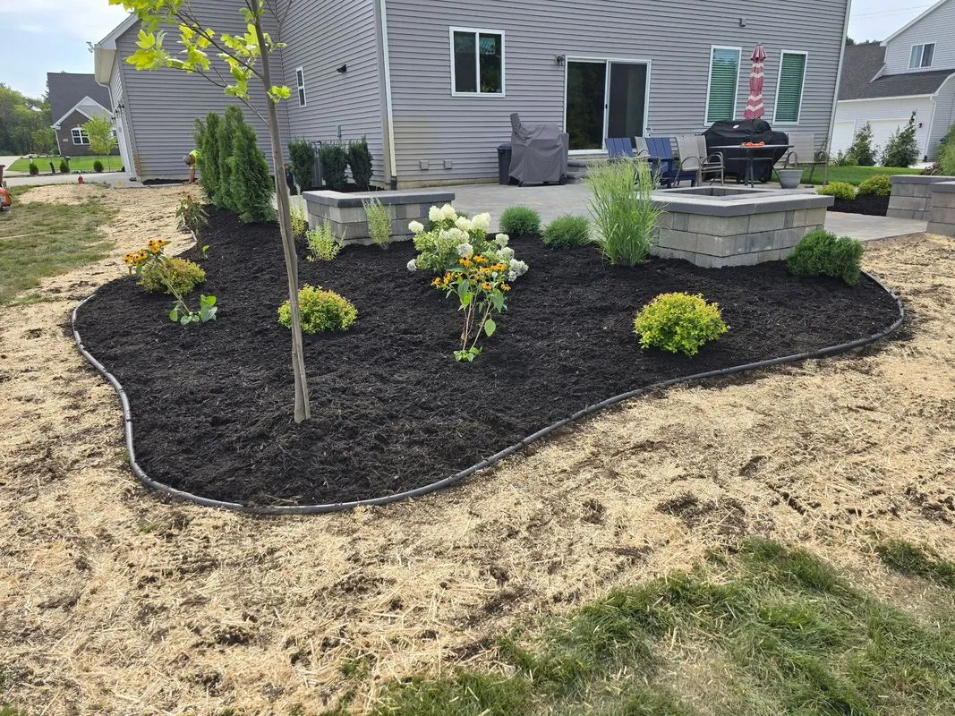 New backyard mulch bed with a young tree, shrubs and perennials beside a patio