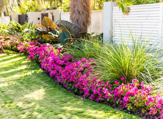 Colorful flower bed designed and installed by KBK Landscaping
