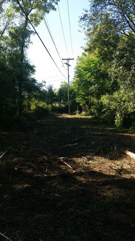 Specialty land services including clearing, grading and mowing by KBK Landscaping (photo 11)