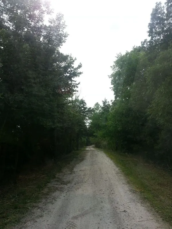 Specialty land services including clearing, grading and mowing by KBK Landscaping (photo 7)
