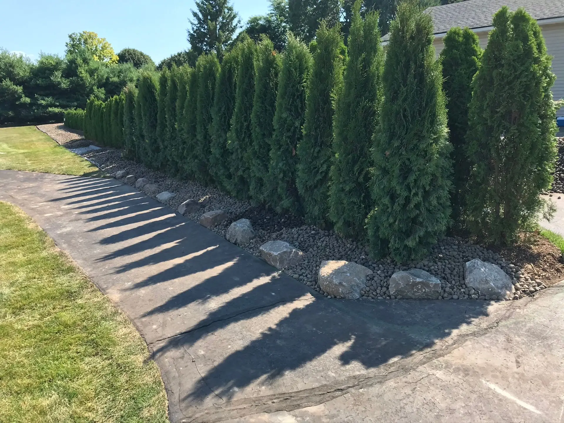 Wide green field with young trees at a KBK Landscaping project site