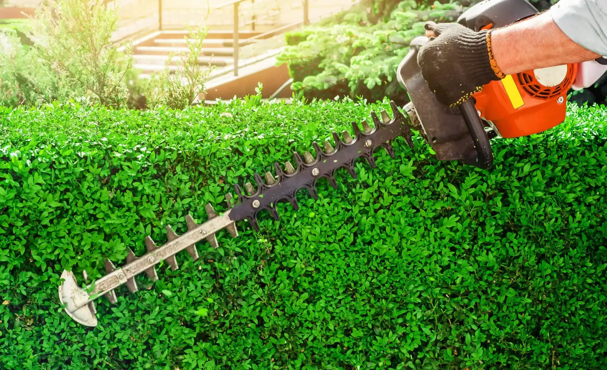 Commercial landscaping crew maintaining a large green property
