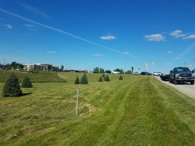 Commercial lawn care and landscaping project by KBK Landscaping (photo 20)