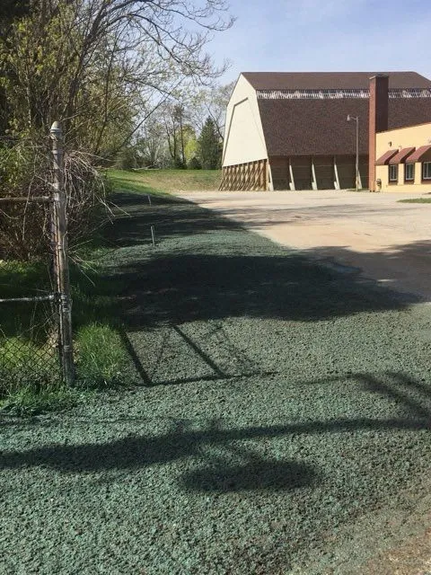Fresh green hydroseed sprayed along a drive beside a large building