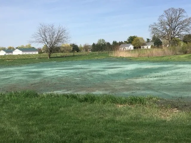 Large open field covered in fresh green hydroseed
