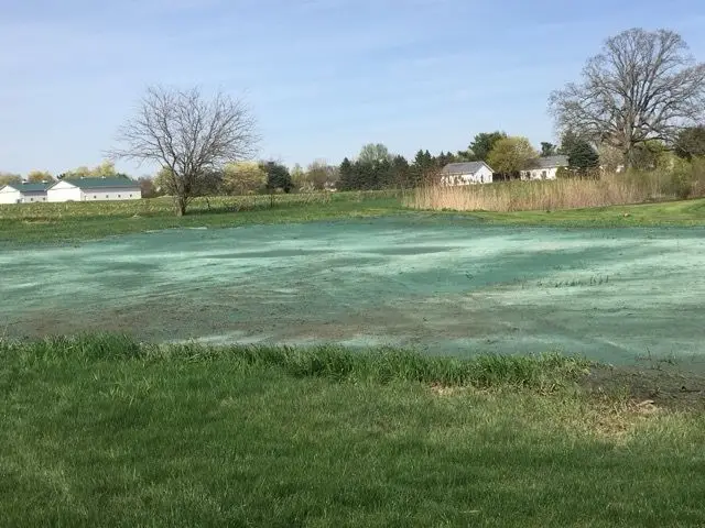 Freshly hydroseeded open field with young grass coming in