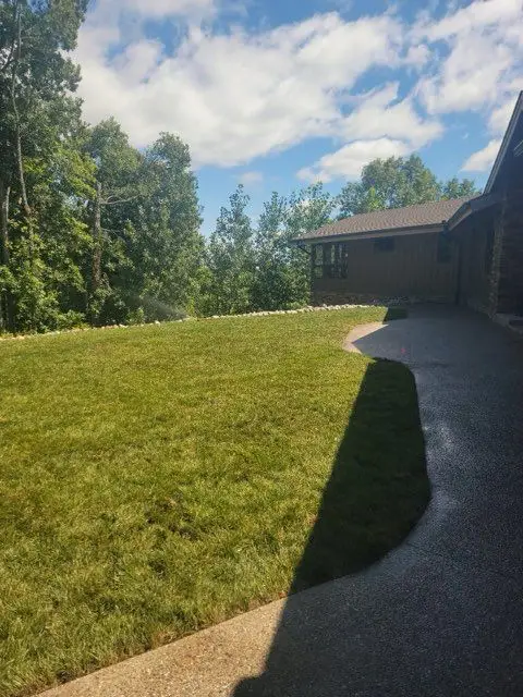 Newly established lawn on a slope beside a home's driveway