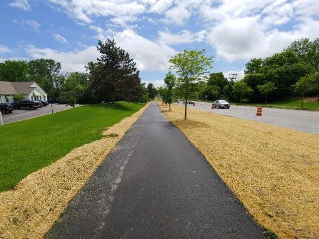 Straw-seeded strips along both sides of a newly paved bike path